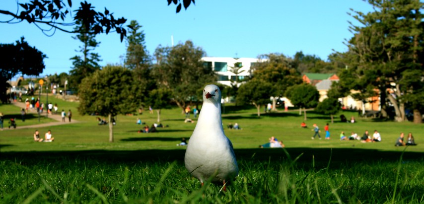 Him and his mates WILL stalk you