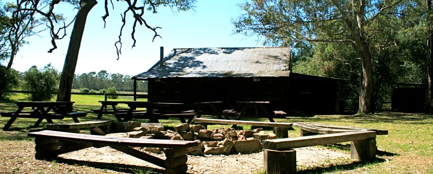 A cabin in the woods on 45 minutes out of the CBD