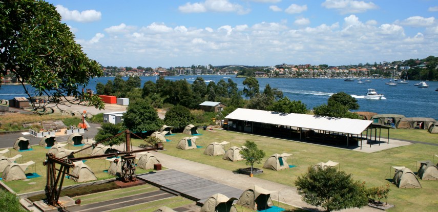 Anything you want they got it