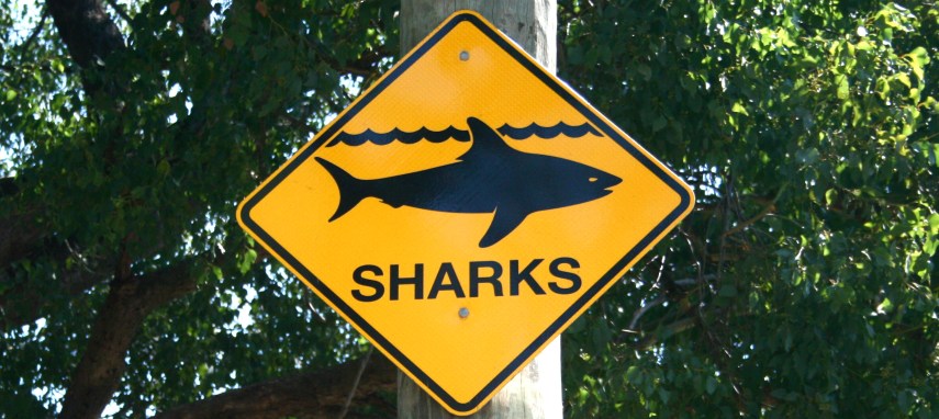 Don't be fooled by the locals attempt at humourous trickery, there ARE sharks in there.
