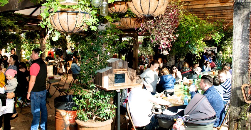 A lazy lunch surrounded by lusciousness at the grounds